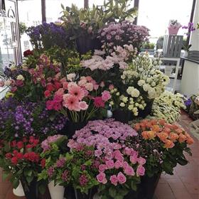fwthumb20170816_113450 copy.jpg